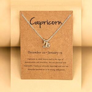 Capricorn Zodiac Charm Necklace Silver Tone NWT